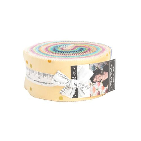 Best Ombre Confetti Jelly Roll