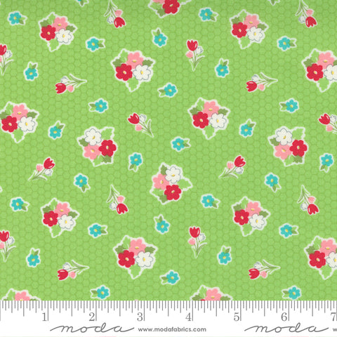 Love Lily Kiwi 24112 15 Moda