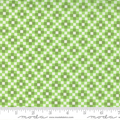 Love Lily Kiwi 24114 16 Moda