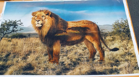 Animal Kingdom Lion Panel