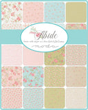 Abide Jelly Roll® 18790JR Moda