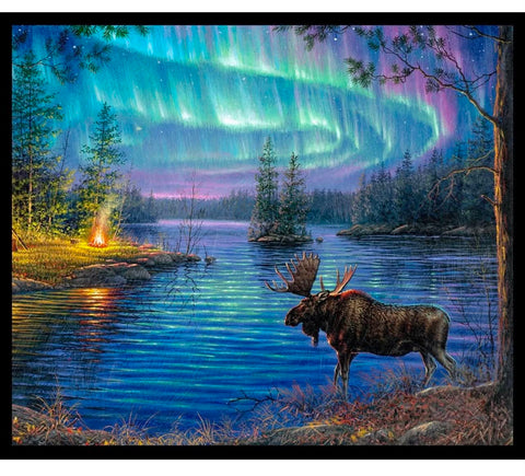 Northern Lights Panel