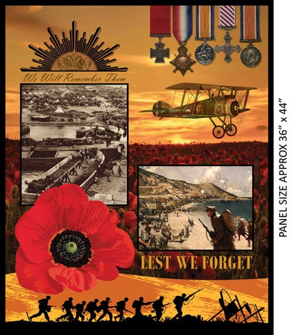 Remembering: WWI Panel