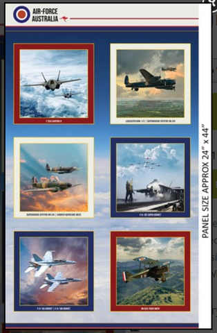 Planes Air Force Centenary Panel - Military